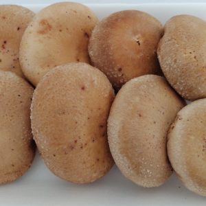 SHITAKE in natura – bdj 200g